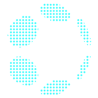 Polkadot Hub